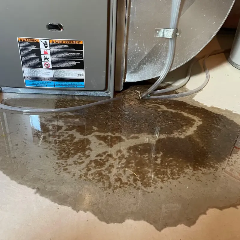 Appliance Leak Cleanup in Springdale, PA